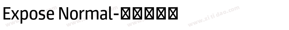 Expose Normal字体转换
